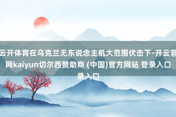 云开体育在乌克兰无东说念主机大范围伏击下-开云官网kaiyun切尔西赞助商 (中国)官方网站 登录入口