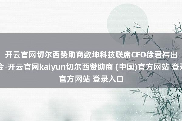 开云官网切尔西赞助商　　数坤科技联席CFO徐君祎出席大会-开云官网kaiyun切尔西赞助商 (中国)官方网站 登录入口
