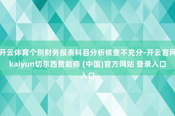 开云体育个别财务报表科目分析核查不充分-开云官网kaiyun切尔西赞助商 (中国)官方网站 登录入口