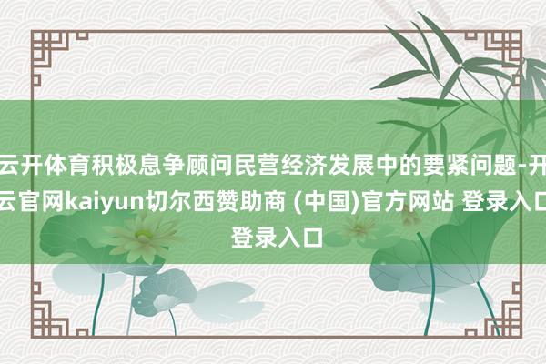 云开体育积极息争顾问民营经济发展中的要紧问题-开云官网kaiyun切尔西赞助商 (中国)官方网站 登录入口