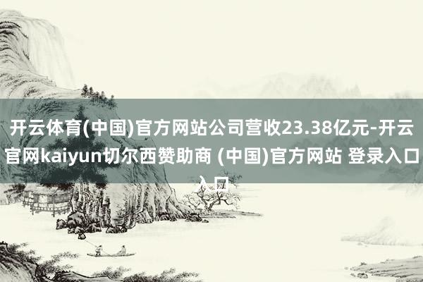 开云体育(中国)官方网站公司营收23.38亿元-开云官网kaiyun切尔西赞助商 (中国)官方网站 登录入口
