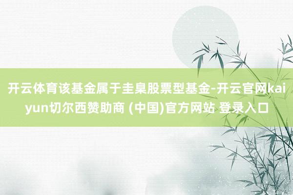 开云体育　　该基金属于圭臬股票型基金-开云官网kaiyun切尔西赞助商 (中国)官方网站 登录入口