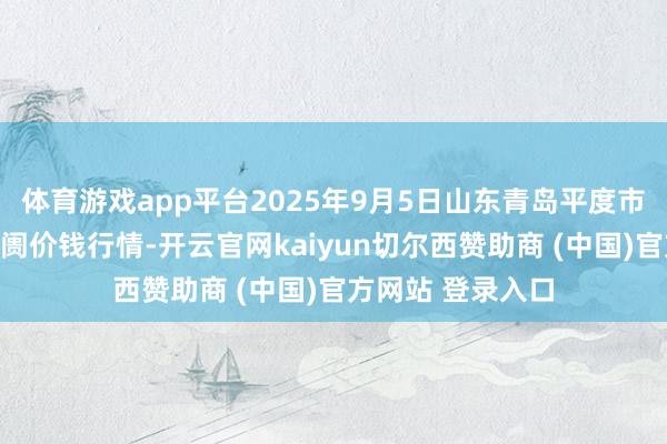 体育游戏app平台2025年9月5日山东青岛平度市南村蔬菜批发阛阓价钱行情-开云官网kaiyun切尔西赞助商 (中国)官方网站 登录入口