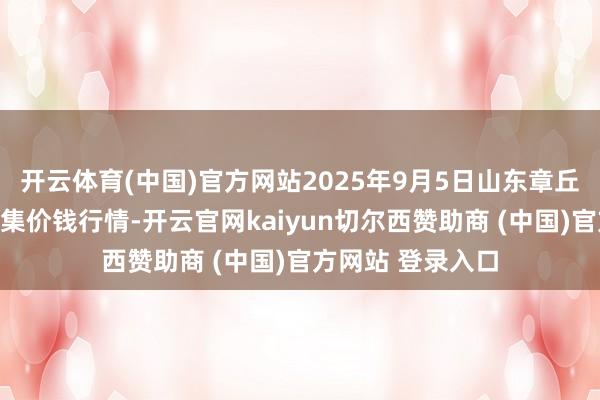 开云体育(中国)官方网站2025年9月5日山东章丘刁镇蔬菜批发市集价钱行情-开云官网kaiyun切尔西赞助商 (中国)官方网站 登录入口