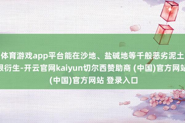 体育游戏app平台能在沙地、盐碱地等千般恶劣泥土环境中扎根衍生-开云官网kaiyun切尔西赞助商 (中国)官方网站 登录入口